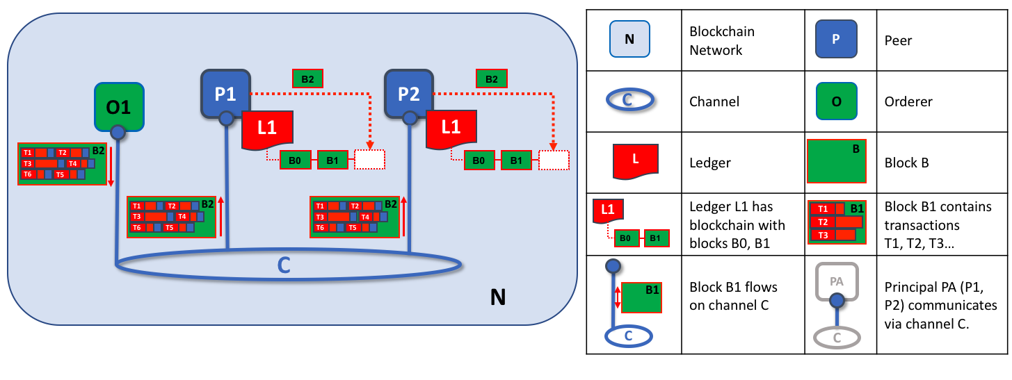 Peer12